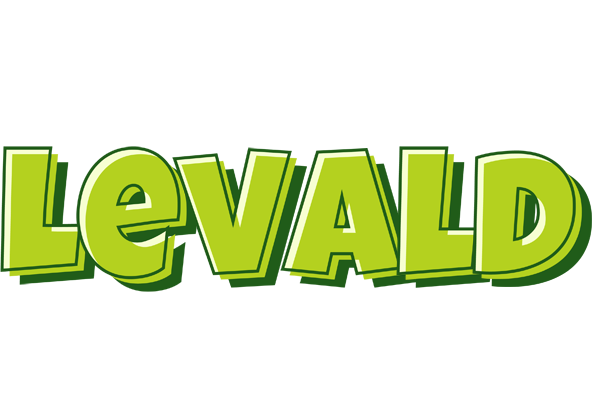 Levald summer logo