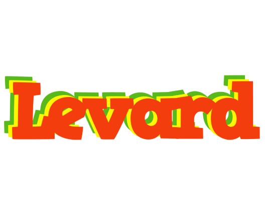 Levard bbq logo