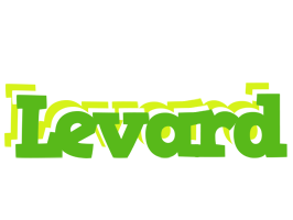 Levard picnic logo