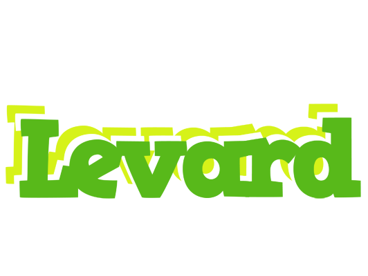 Levard picnic logo