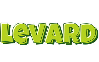 Levard summer logo