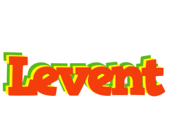 Levent bbq logo