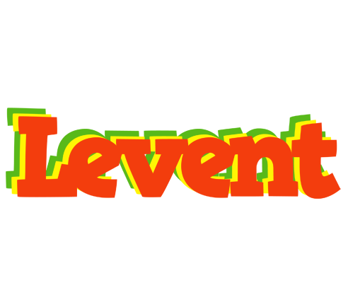 Levent bbq logo
