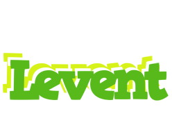 Levent picnic logo