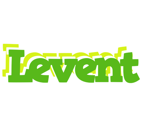 Levent picnic logo