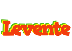 Levente bbq logo