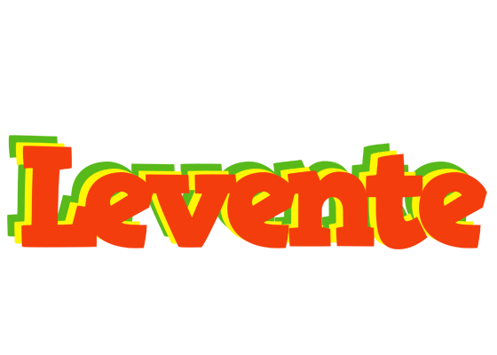 Levente bbq logo