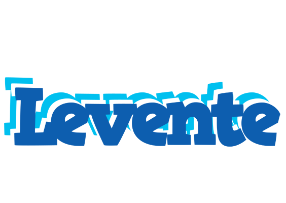 Levente business logo