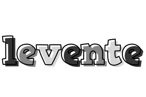 Levente night logo
