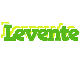 Levente picnic logo