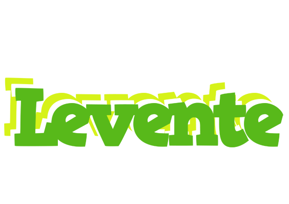 Levente picnic logo