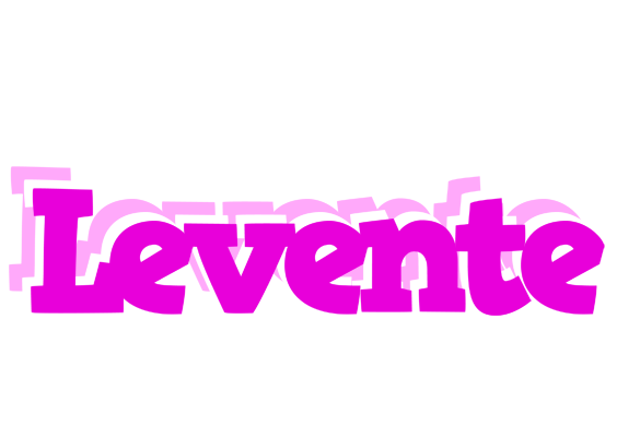 Levente rumba logo