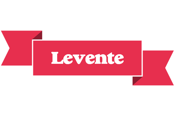 Levente sale logo