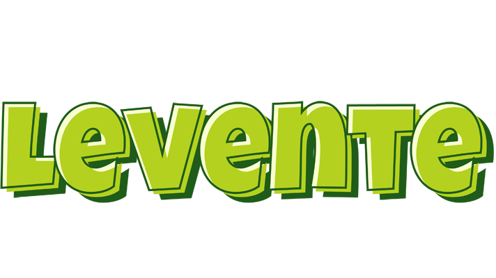 Levente summer logo