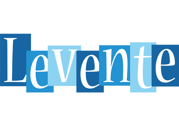 Levente winter logo