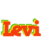 Levi bbq logo