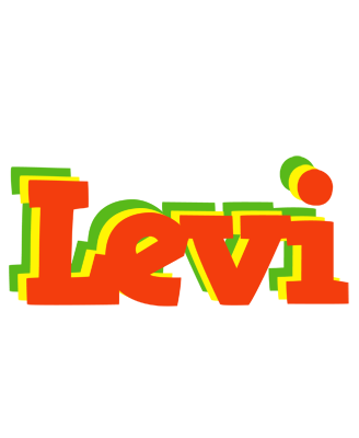 Levi bbq logo