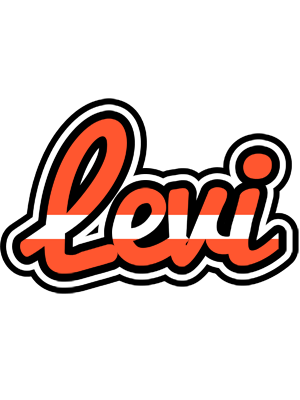 Levi denmark logo