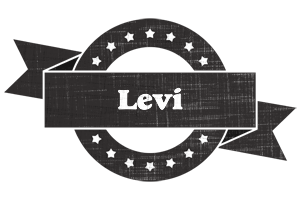 Levi grunge logo