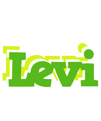 Levi picnic logo