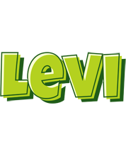Levi summer logo