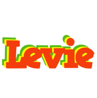 Levie bbq logo