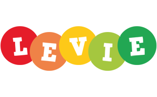 Levie boogie logo