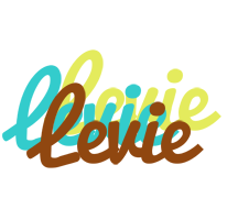 Levie cupcake logo