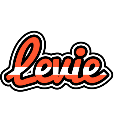 Levie denmark logo