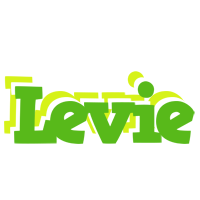 Levie picnic logo