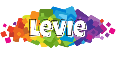 Levie pixels logo