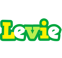 Levie soccer logo