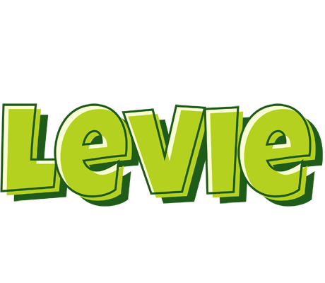 Levie summer logo