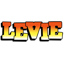 Levie sunset logo