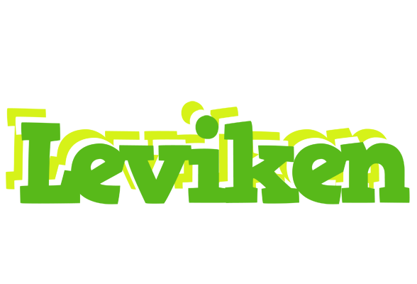 Leviken picnic logo