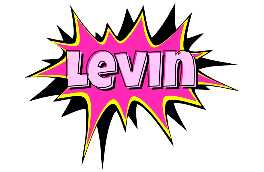 Levin badabing logo