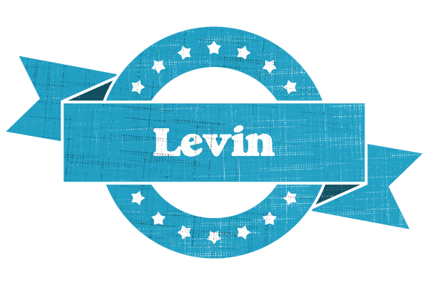 Levin balance logo