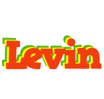 Levin bbq logo