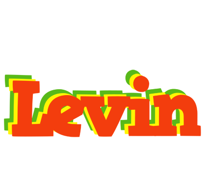 Levin bbq logo