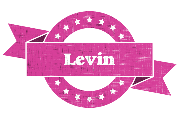 Levin beauty logo