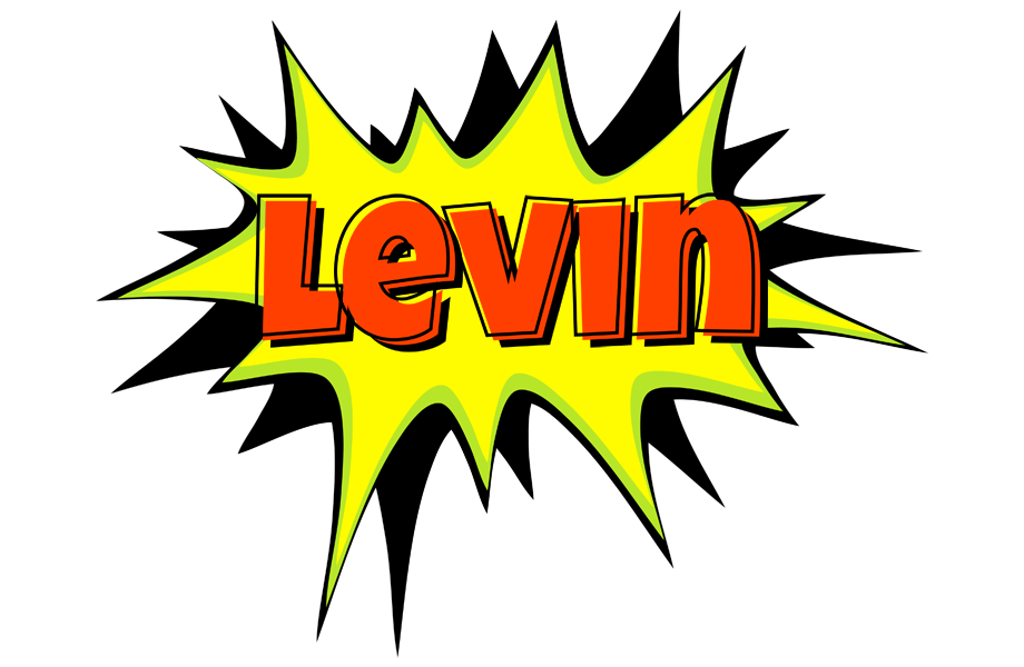 Levin bigfoot logo