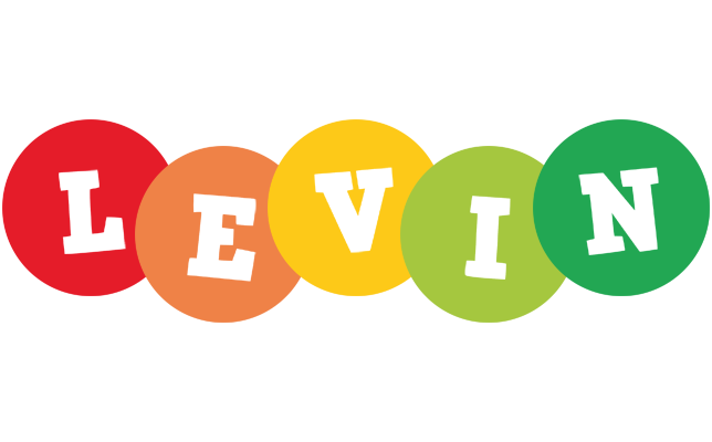Levin boogie logo