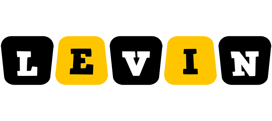 Levin boots logo