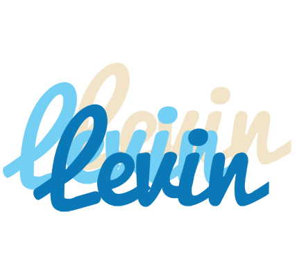 Levin breeze logo