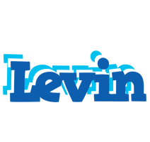 Levin business logo