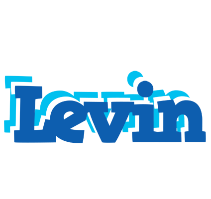 Levin business logo