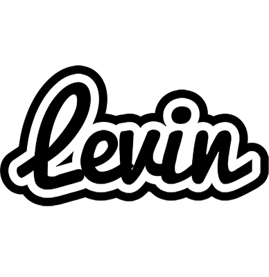 Levin chess logo