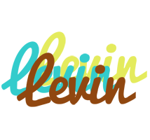 Levin cupcake logo