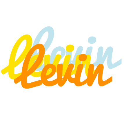 Levin energy logo