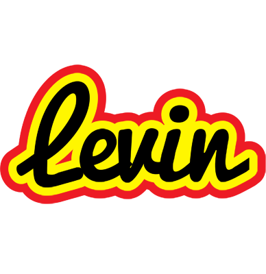 Levin flaming logo